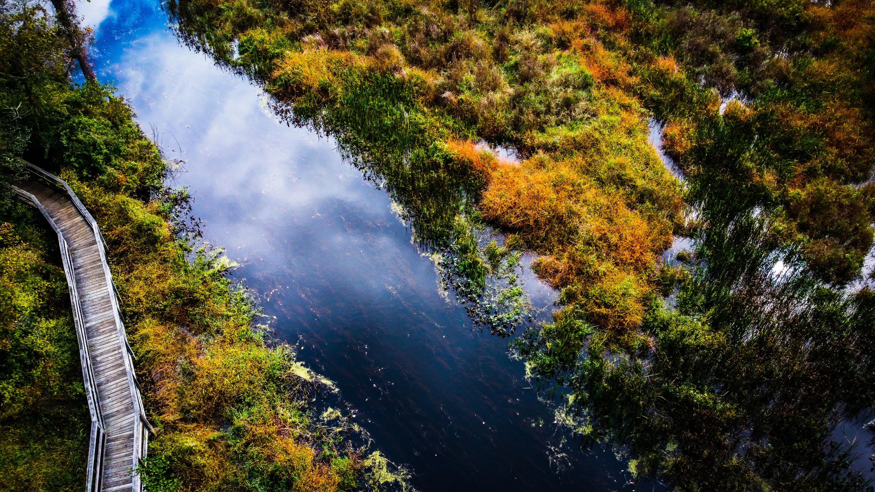 an aerial/drone shot of a creek with greenery on both sides